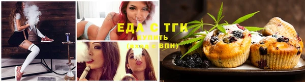 шишки Елизово