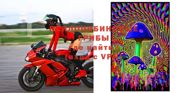 шишки Елизово