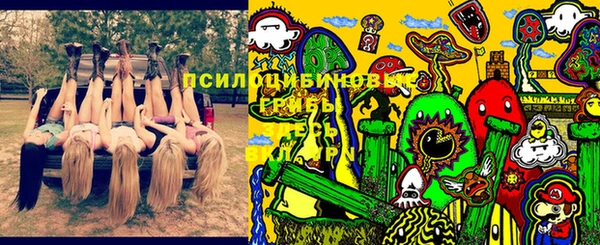 шишки Елизово