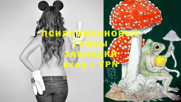 твердый Заволжье