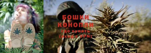 бошки Заводоуковск