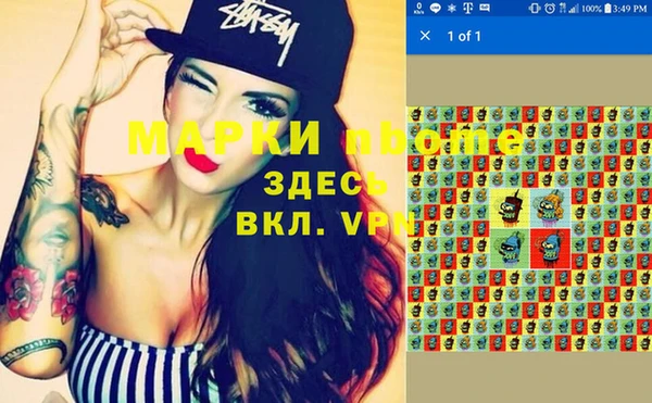 шишки Елизово