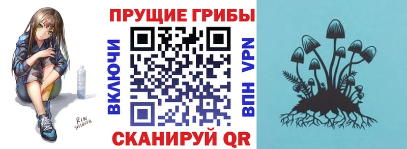 OMG ССЫЛКА  Лихославль  Галлюциногенные грибы MAGIC MUSHROOMS  где купить наркоту 